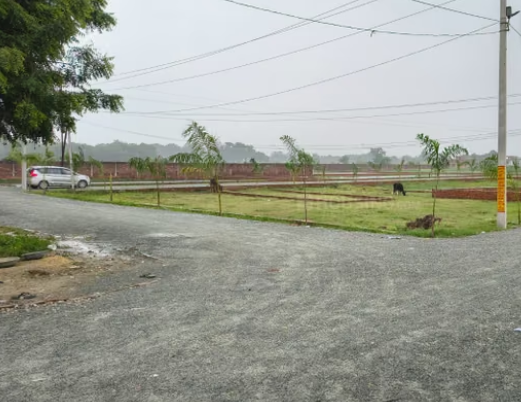 Plot in Thatra