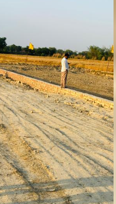 Plot in BARAI
