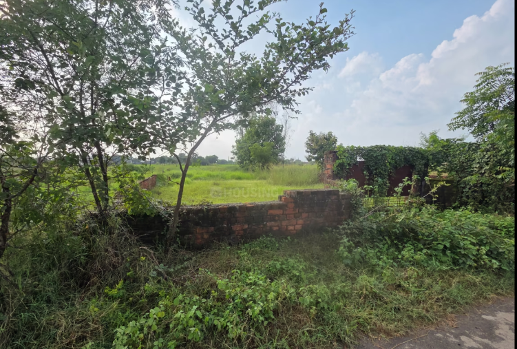 Plot in Adalpura