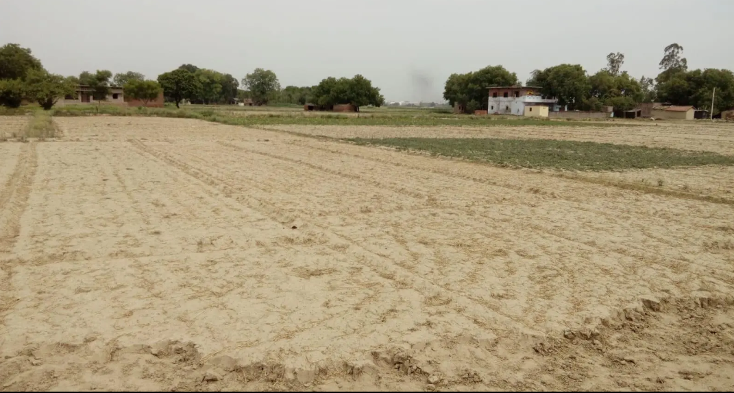 Residencial Plot In Jansa