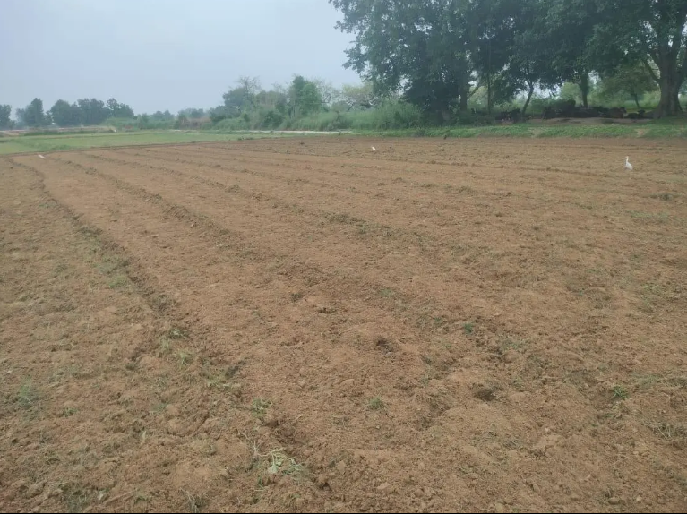 Residencial Land in Ishwara