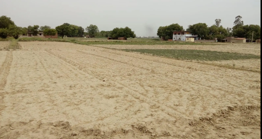 Land in Jansa